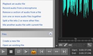Image of the Halloween 'gremlin' on my Wavepad editing software